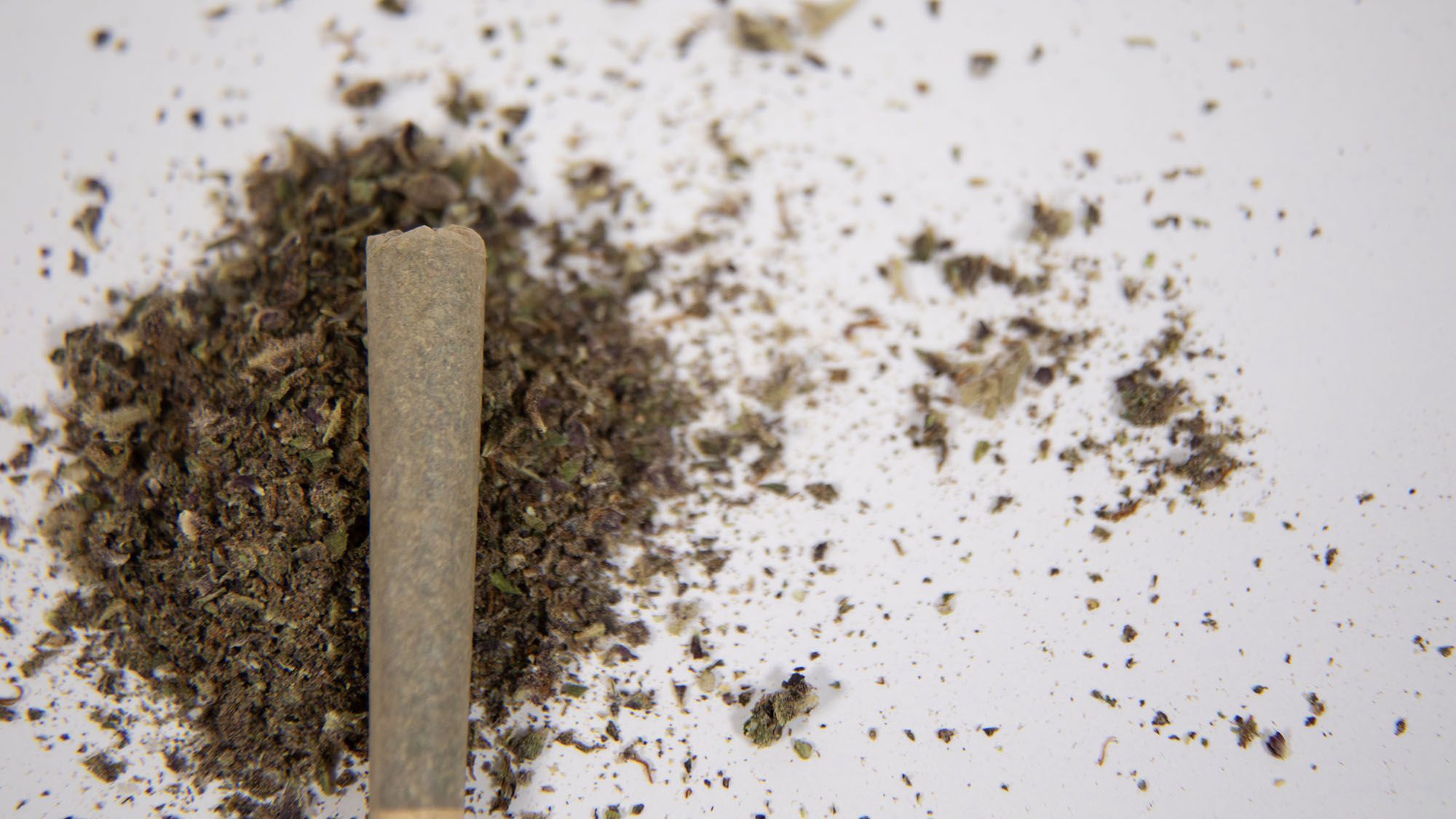 Cannabis Legalization in Europe: Where It’s Legal and What the Future Holds